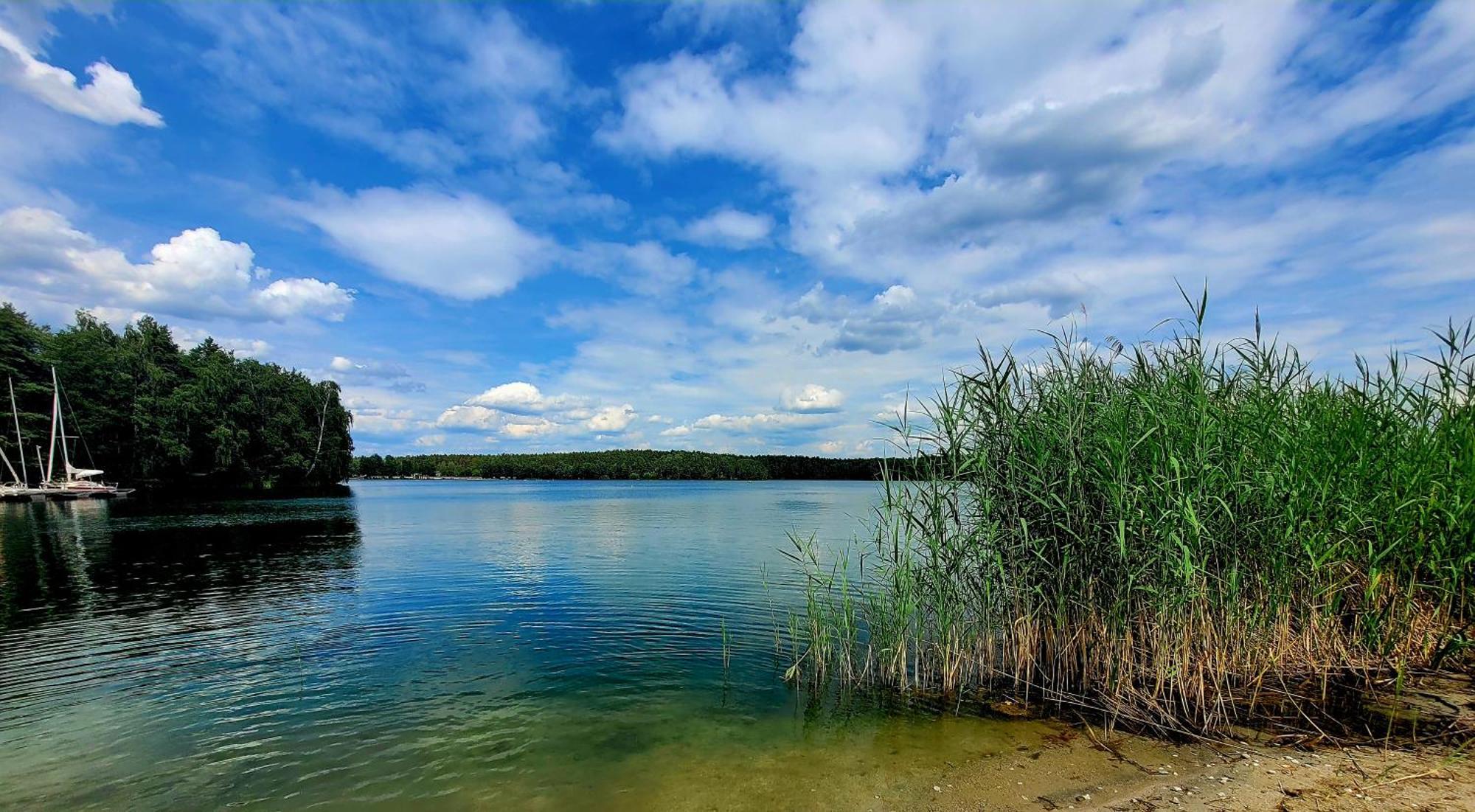 Ferienwohnung Seeglueck Im Oberpfaelzer Seenland Schwandorf in Bayern Ngoại thất bức ảnh